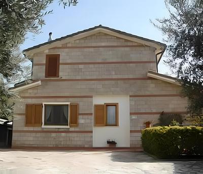 Vento tra gli Ulivi