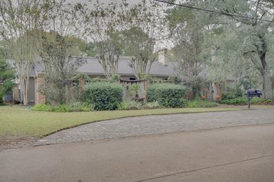 Ocean Springs Studio: Walk to Downtown & Beach!