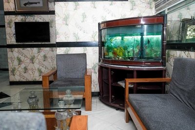 Hotel Green View International