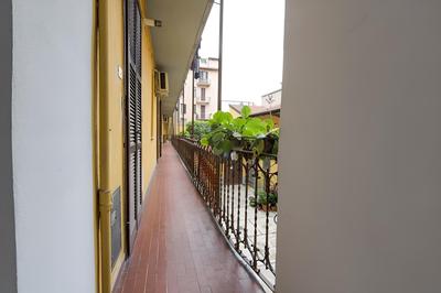 Venini studio