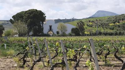 Fattoria Manostalla