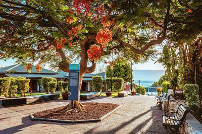 Daria - Authentic Israel Experience