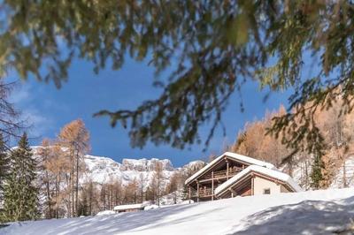 Fantastic chalet
