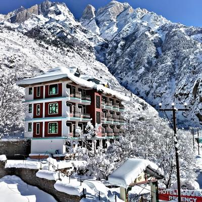 Hotel Prakash Regency Sangla