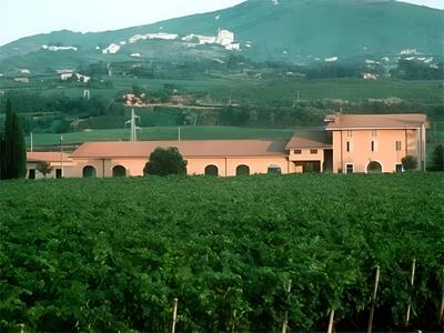 Tenuta di Pietra Porzia