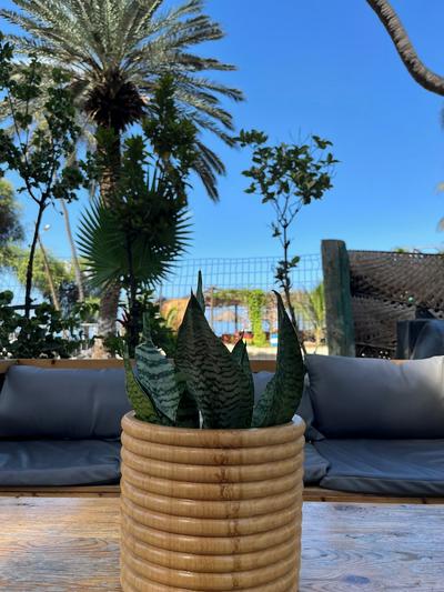 Baia Verde Resort Tarrafal