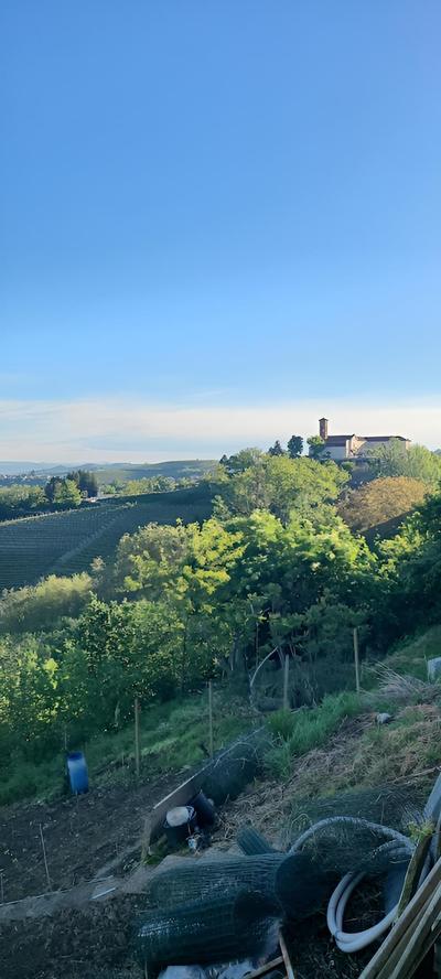 B&B Ma Maison Govone