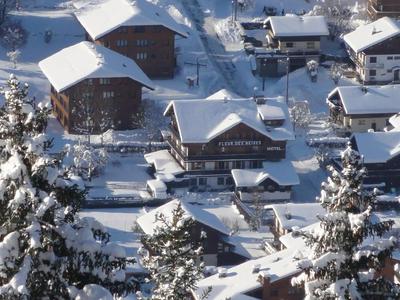 Fleur Des Neiges