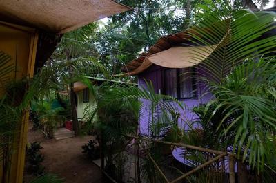 Saturn Beach Cottage