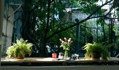 The Dreamers' House Hanoi Old Quarter