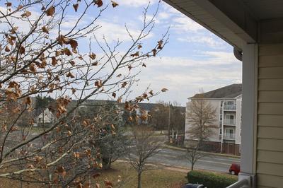 Entire Cozy Nest Minutes From Dulles Airport