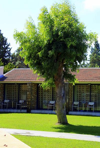 Blue Bay Hotel