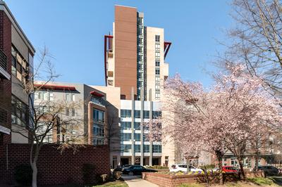 Kasa Alexandria Washington