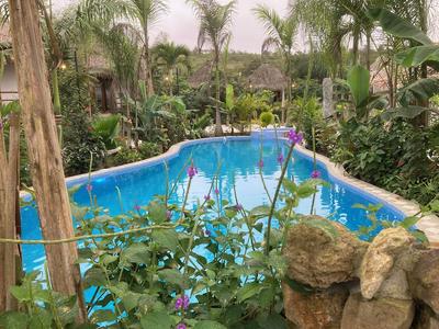 Hotel La Costa International