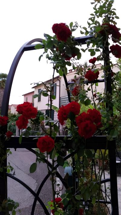 BBOderzo Bed & Breakfast