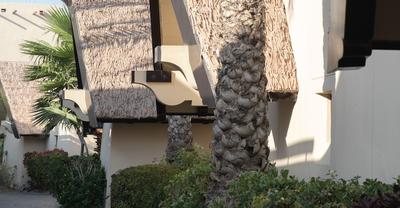 Jumeirah Beach Hotel Dubai