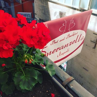 B&B Speranzella