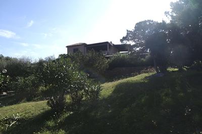 Aria di Vacanza - Corallina