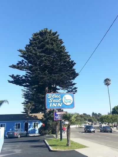 Blue Seal Inn, Billede 2