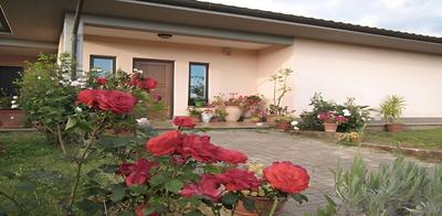 B&B Il Vigneto Tuscania