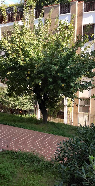Il Giardino di Anna