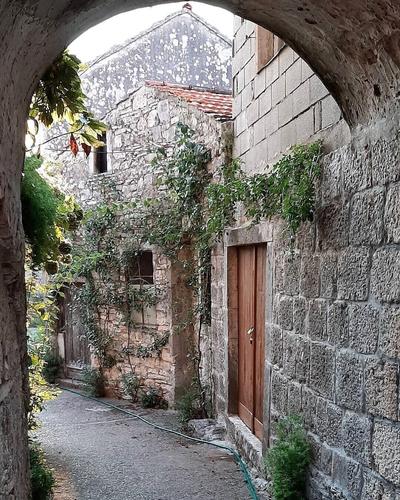Villa Olive Tree