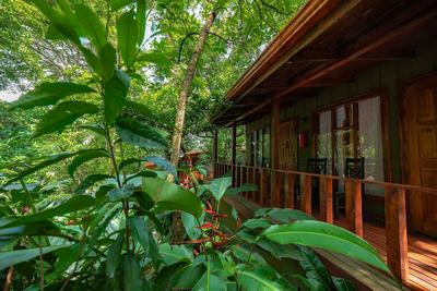 Jaguarundi Lodge