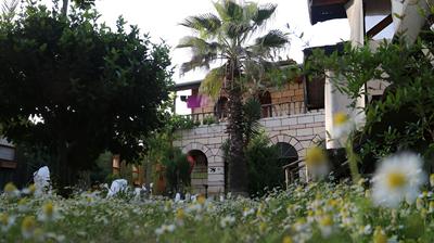 Captain Eudemos House Olympos