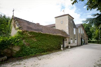 Chartreuse de Dane