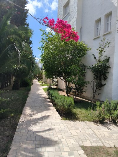 Yasmina Apartment in Yasmine Hammamet