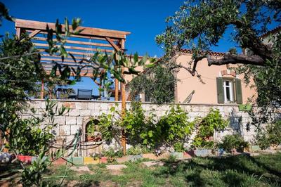 Olive Grove Serenity - Countryside Escape in Crete