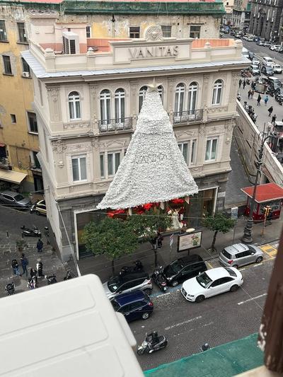 La lepre bovio