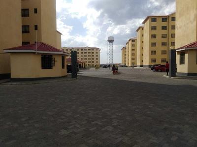 Lewisky homestays and tours