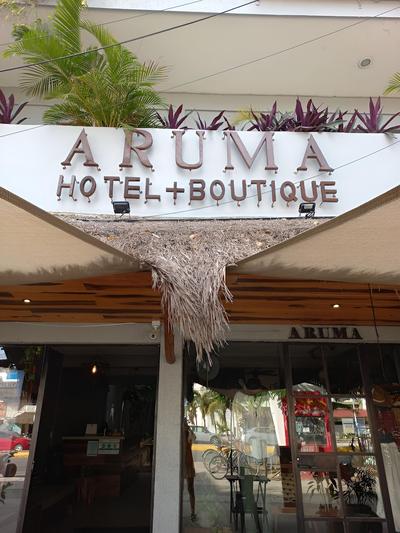 ART HOUSE ARUMA HOTEL