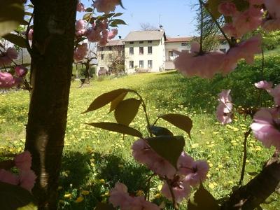 B&B Al Samaron
