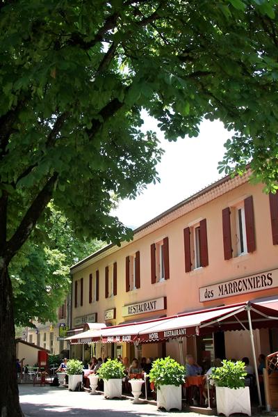 Hôtel - Restaurant les Marronniers