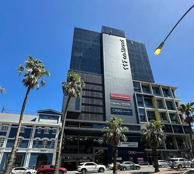 Urban Elephant The Rose