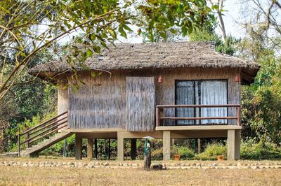 Temple Tiger Green Jungle Resort