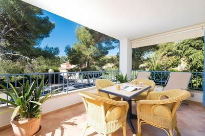 Clivies 1b in Pollen a