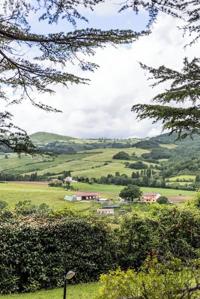 Tenuta Borgo San Michele