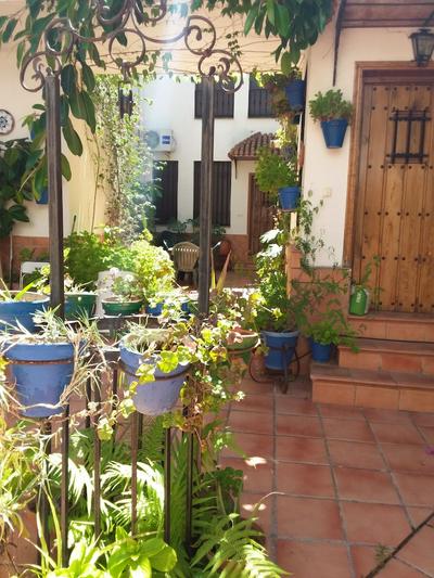 Casa Tipica Cordobesa en la Juderia