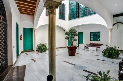 Wish-Suite Casa Palacio Condestable