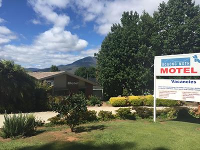 Bogong Moth Motel