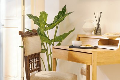 Éclectique Hanoi Homestay