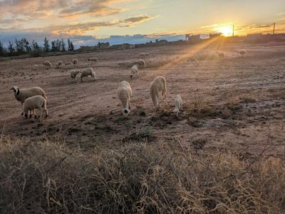 Atlas Farmhouse Marrakesh