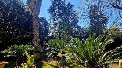La Pineta