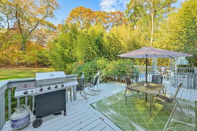Tranquil & Pet-friendly Estate on Long Island!