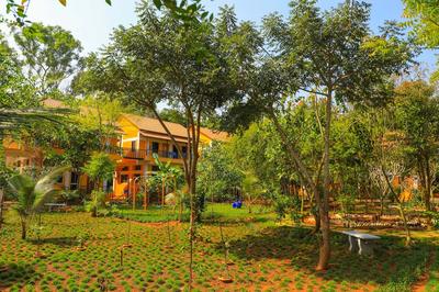 Auro Wellness Castle