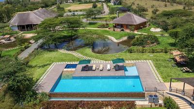 Esidai by Camp David