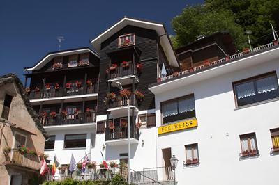 Edelweiss